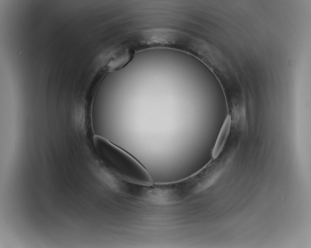 X0000114570444200910191506