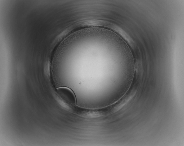 X0000114570445200910191506