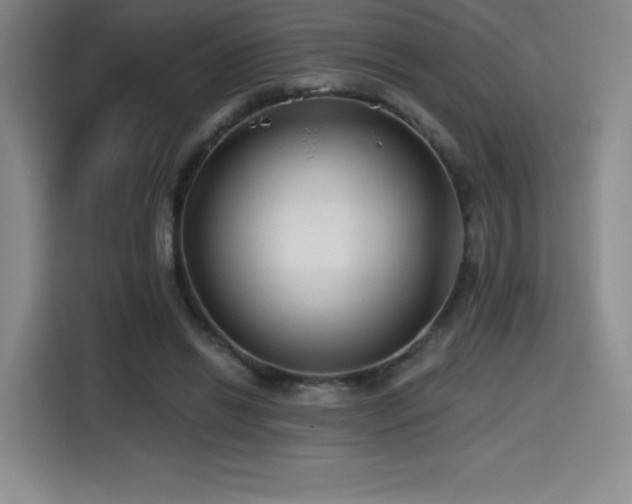 X0000114570446200910191506