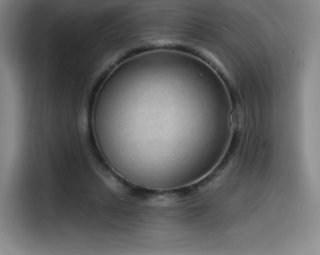 X0000114570447200910191506