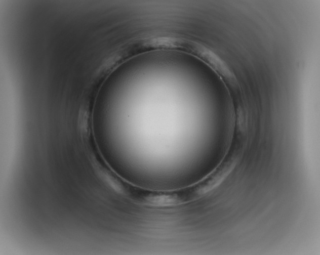 X0000114570449200910191506