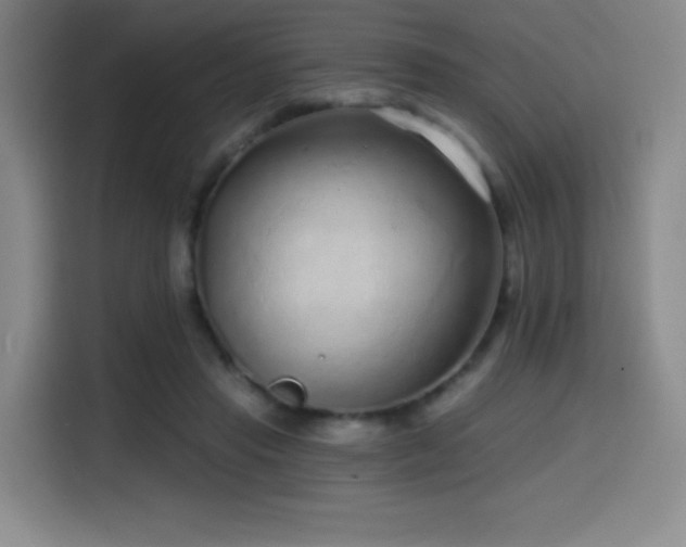 X0000114570453200910191506