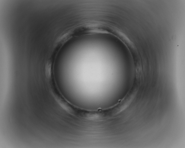 X0000114570454200910191506