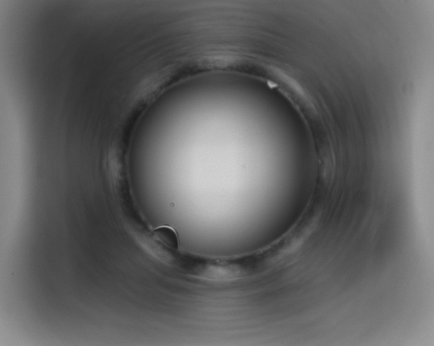 X0000114570455200910191506