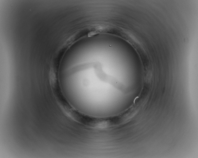 X0000114570456200910191506