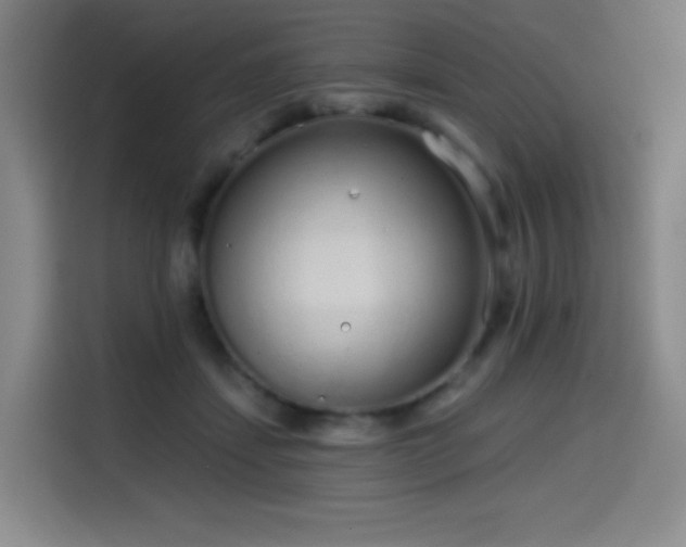 X0000114570459200910191506