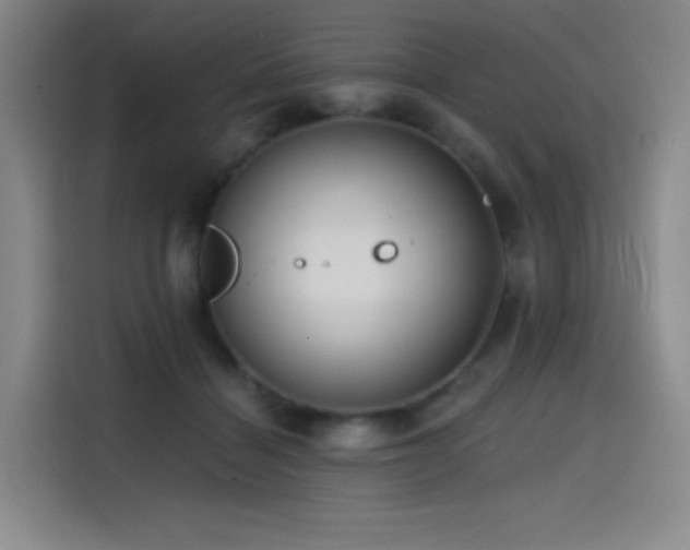 X0000114570460200910191506