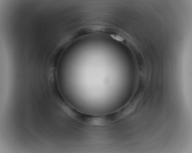 X0000114570462200910191506