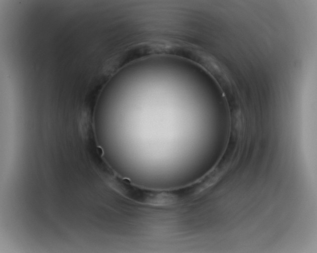 X0000114570463200910191507