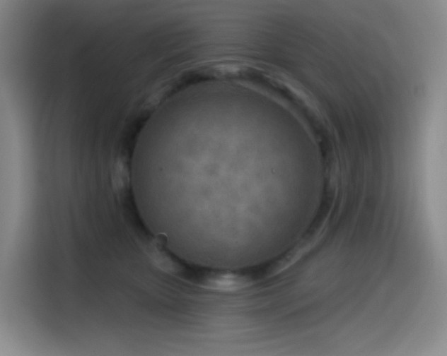 X0000114570467200910191507