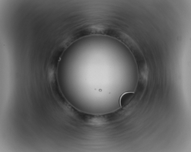 X0000114570468200910191507