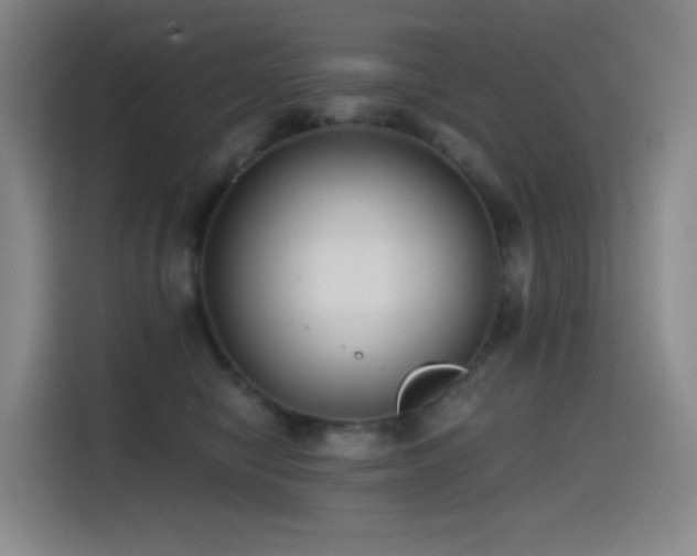 X0000114570470200910191507