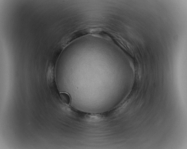 X0000114570475200910191507