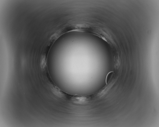 X0000114570478200910191507