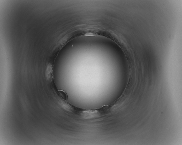 X0000114570480200910191507