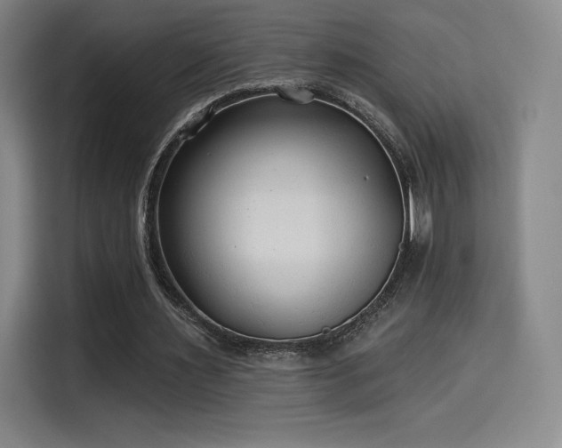 X0000114570483200910191506