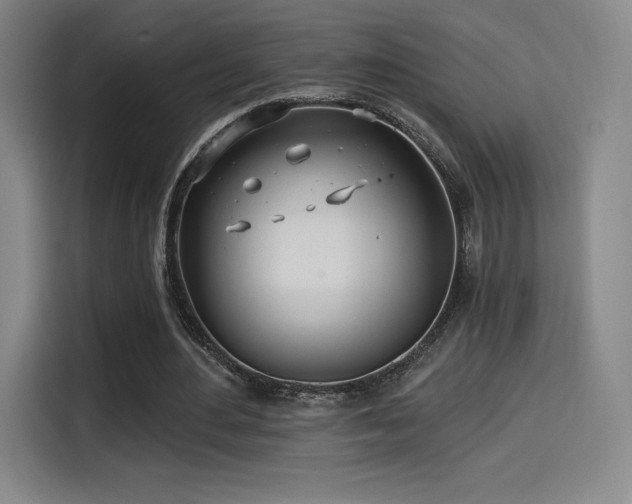 X0000114570484200910191506