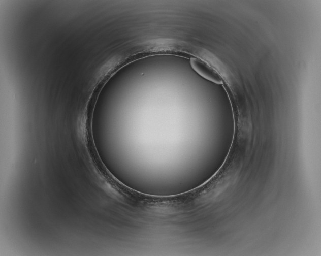 X0000114570485200910191506