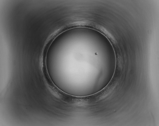 X0000114570486200910191506