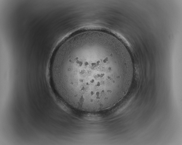 X0000114570487200910191506