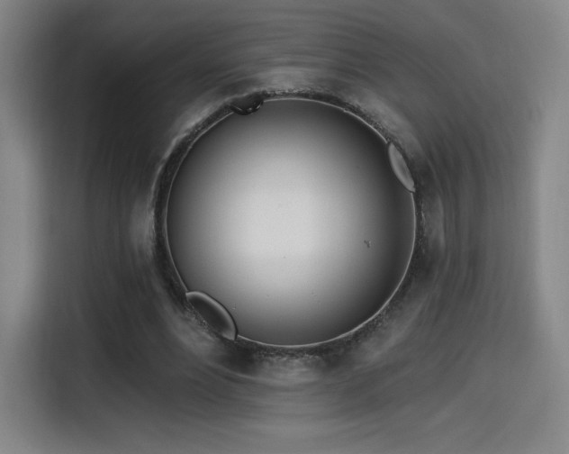 X0000114570488200910191506