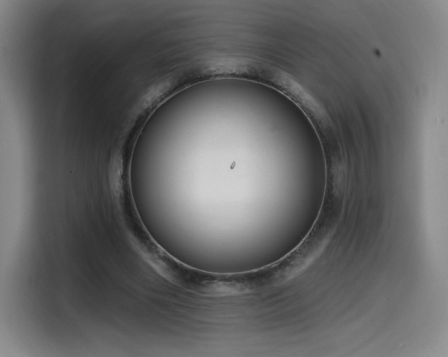 X0000114570490200910191506