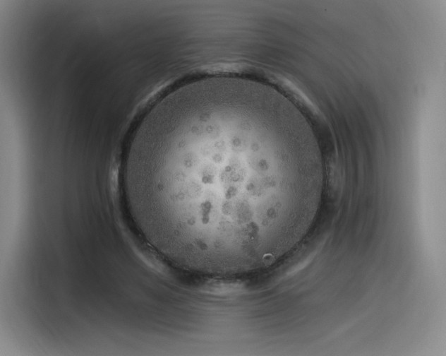 X0000114570491200910191506