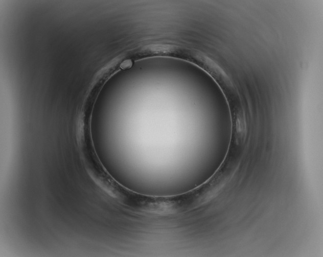 X0000114570492200910191506