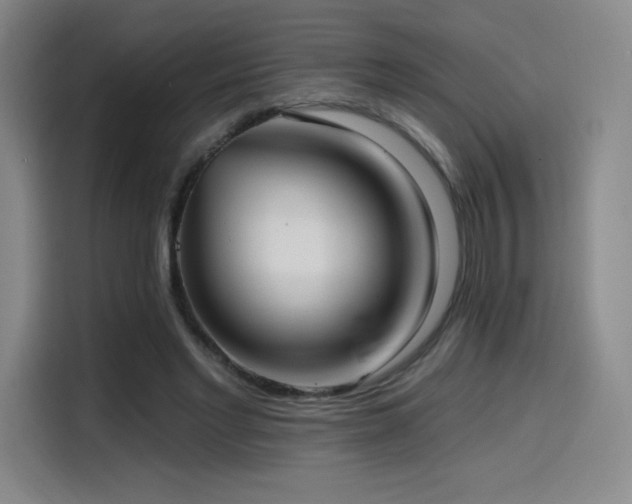 X0000114570493200910191506