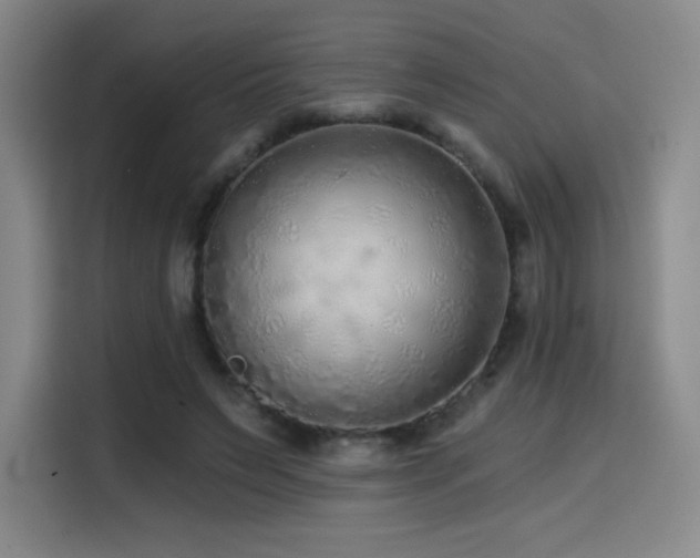 X0000114570495200910191506