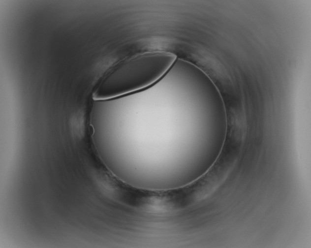 X0000114570496200910191506