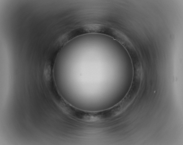 X0000114570498200910191506