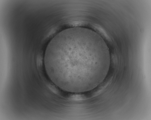 X0000114570499200910191506