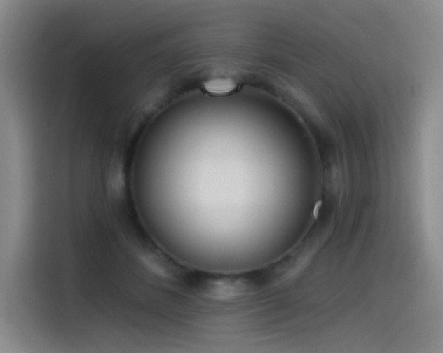 X0000114570508200910191506