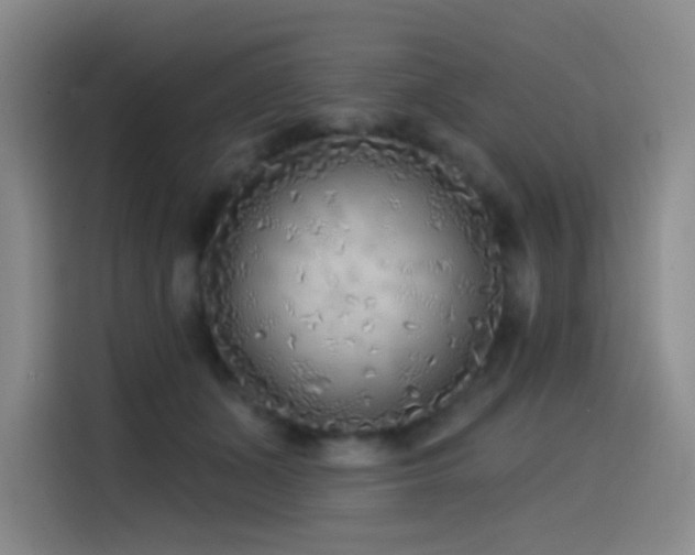 X0000114570511200910191506