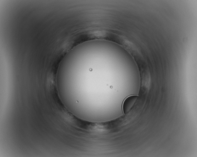 X0000114570518200910191506