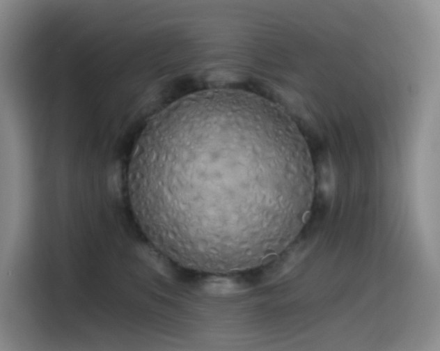 X0000114570519200910191506