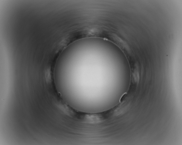 X0000114570520200910191506