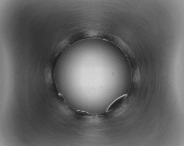 X0000114570524200910191506