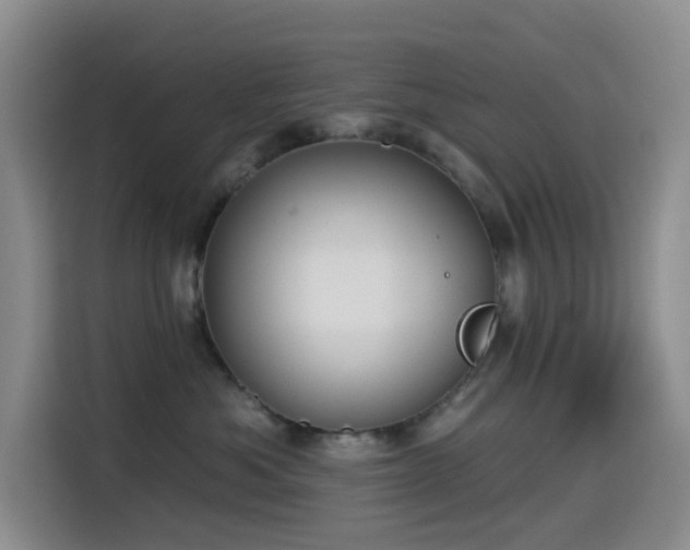 X0000114570525200910191506