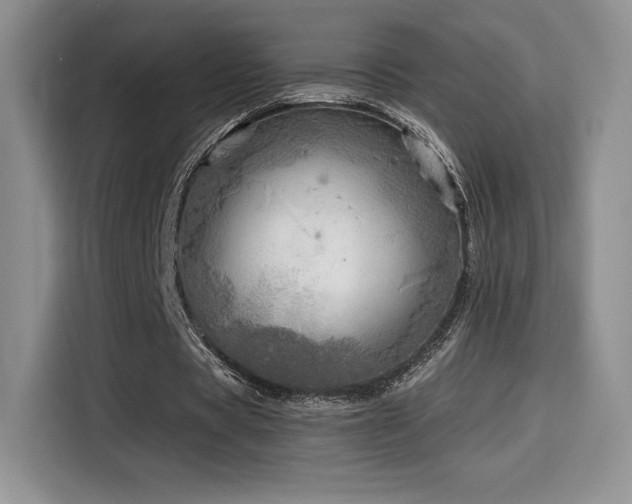 X0000114570529200910191505