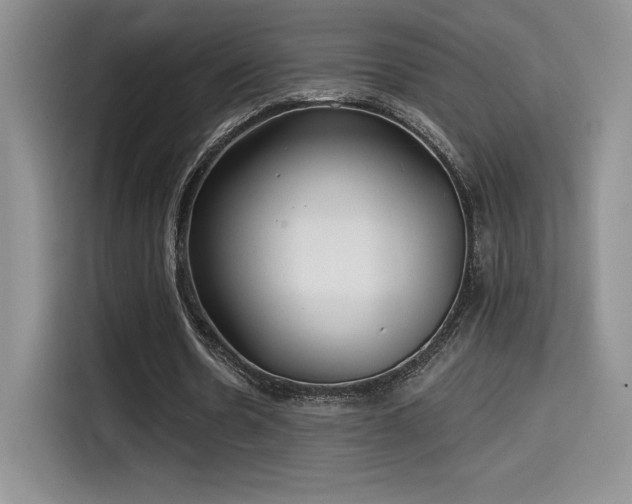 X0000114570530200910191505