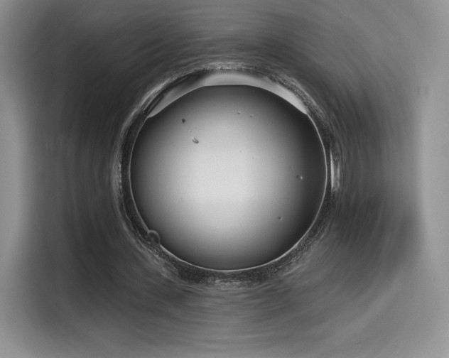 X0000114570531200910191505