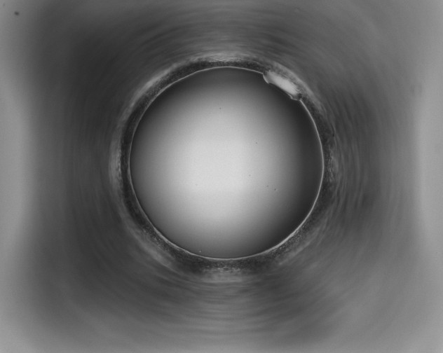 X0000114570535200910191505