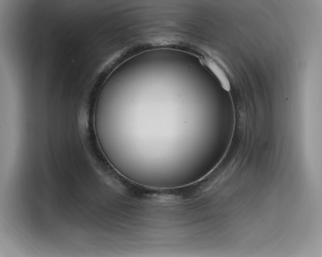 X0000114570539200910191505