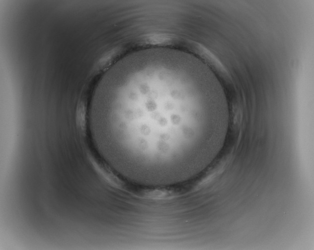 X0000114570542200910191505