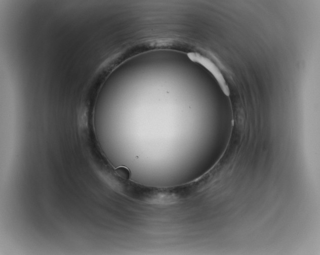 X0000114570543200910191505