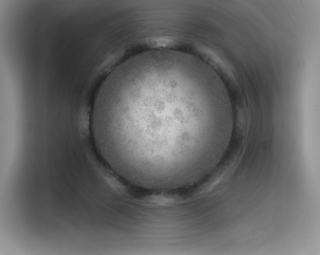 X0000114570545200910191505