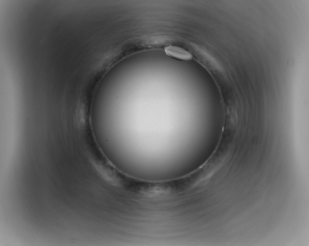 X0000114570546200910191505