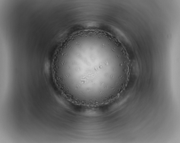 X0000114570550200910191505